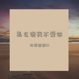 怎么说我不爱你 (DJ版)